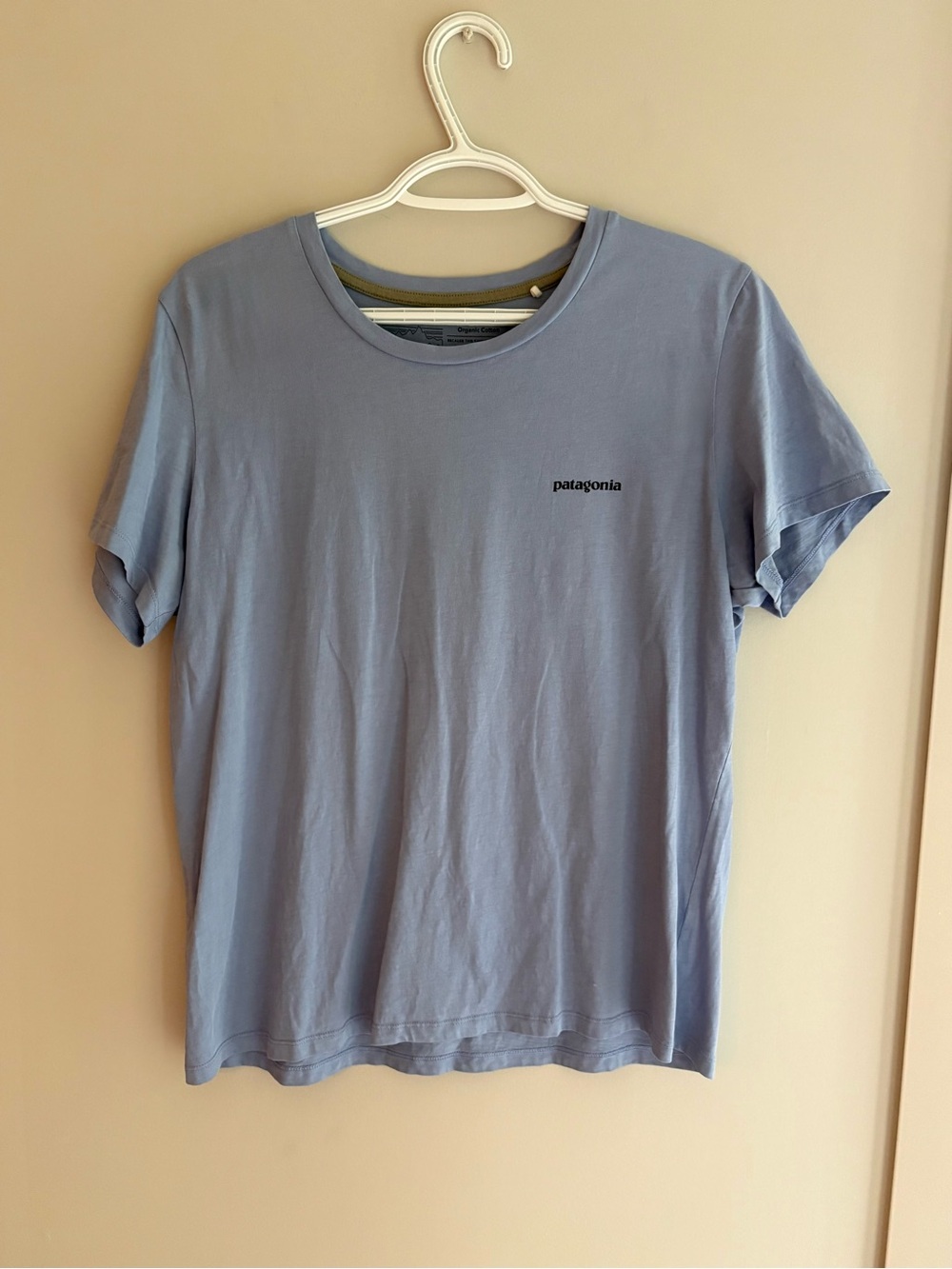 Patagonia Light Blue Crew Neck Tee with Olive Trim